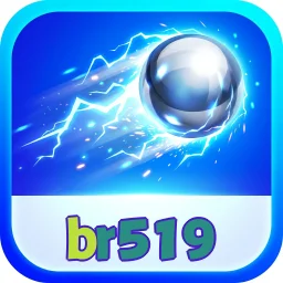 br519