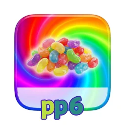 pp6